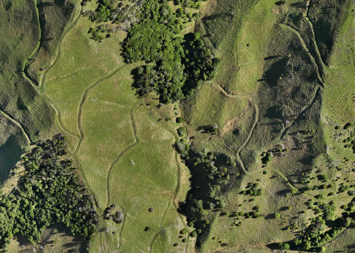 Drone aerial orthophoto of farmland