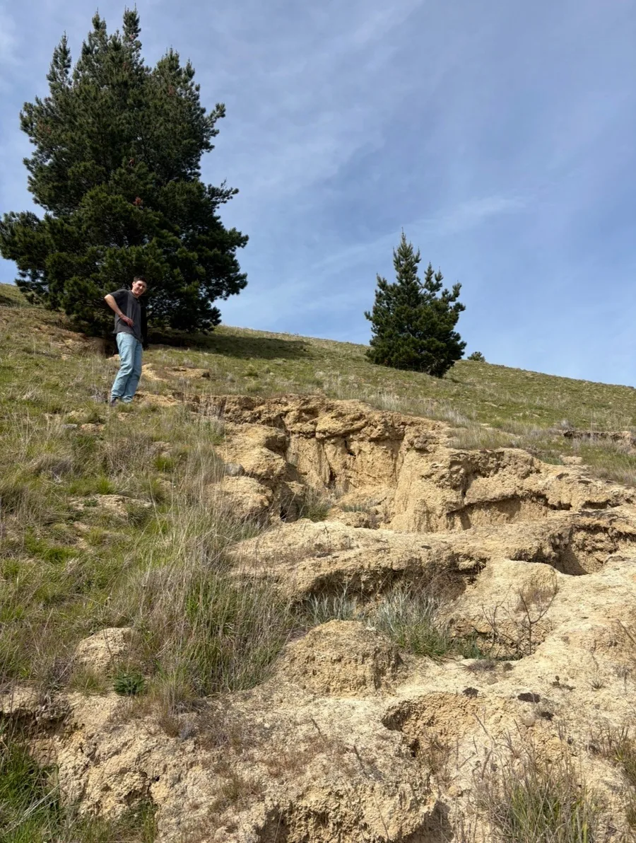 Farm site assessment